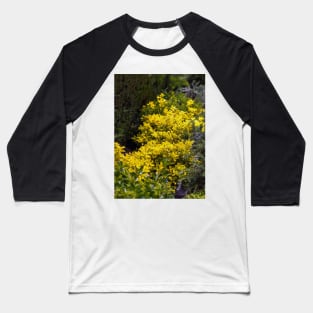 Golden euonymus shrub Baseball T-Shirt